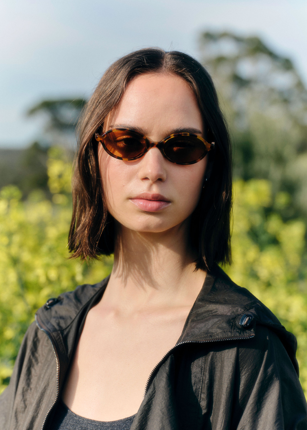 【送料&関税込】Miu Miu 0mu 04zs Regard19p2z1 Havana Sunglas 0MU 04ZS Sunglasses
