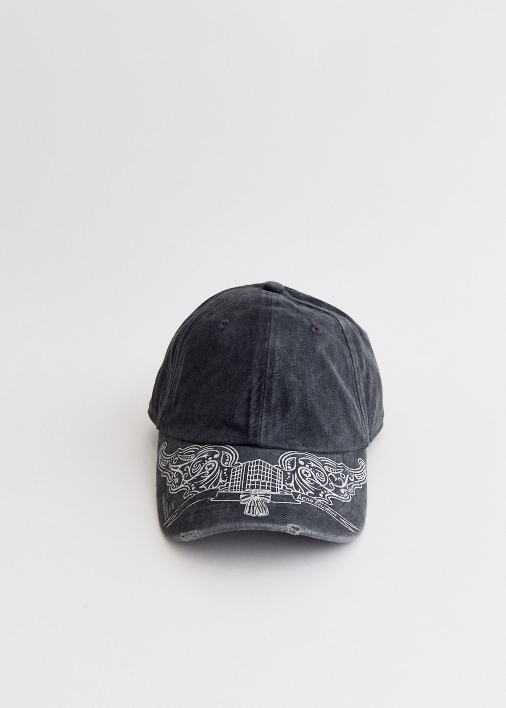Carliy Logo Wings Hat display picture 2