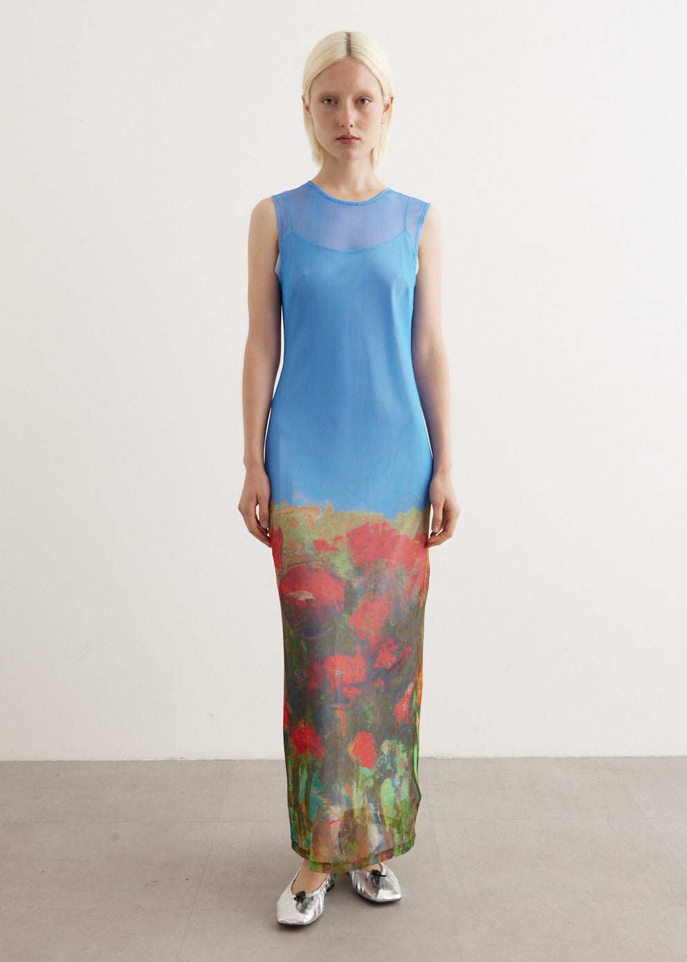 Mesh Maxi Dress - Main Image