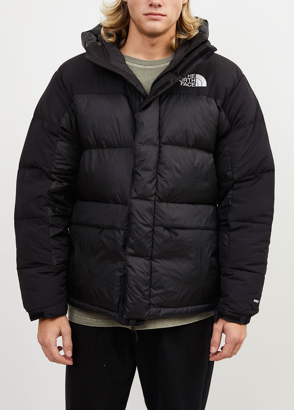 North face men's online hmlyn down parka