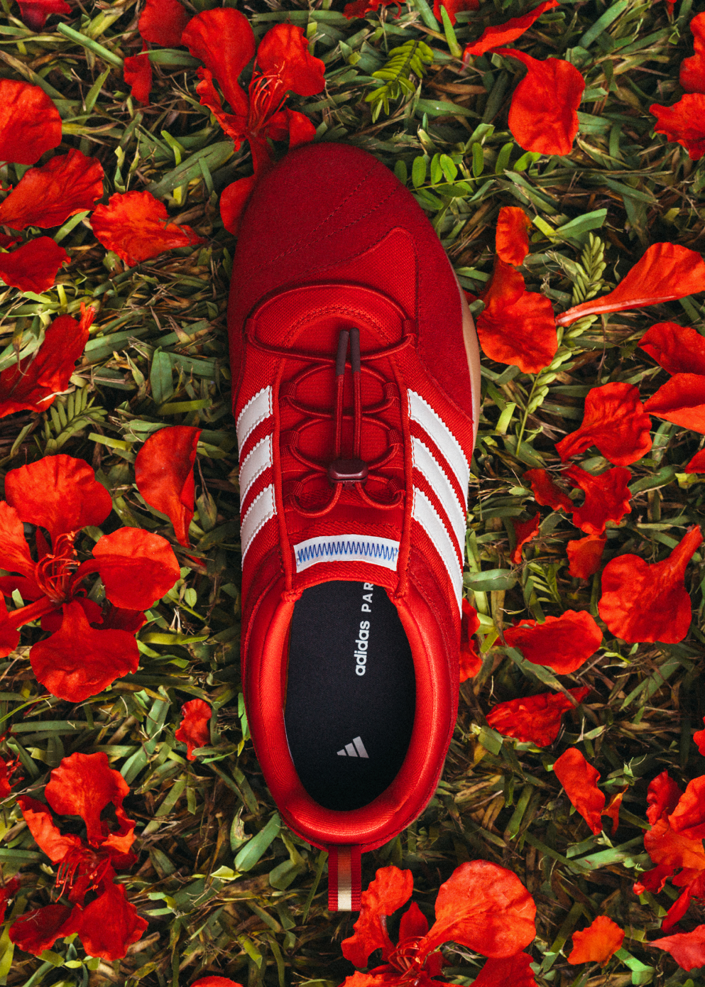 adidas x Bad Bunny