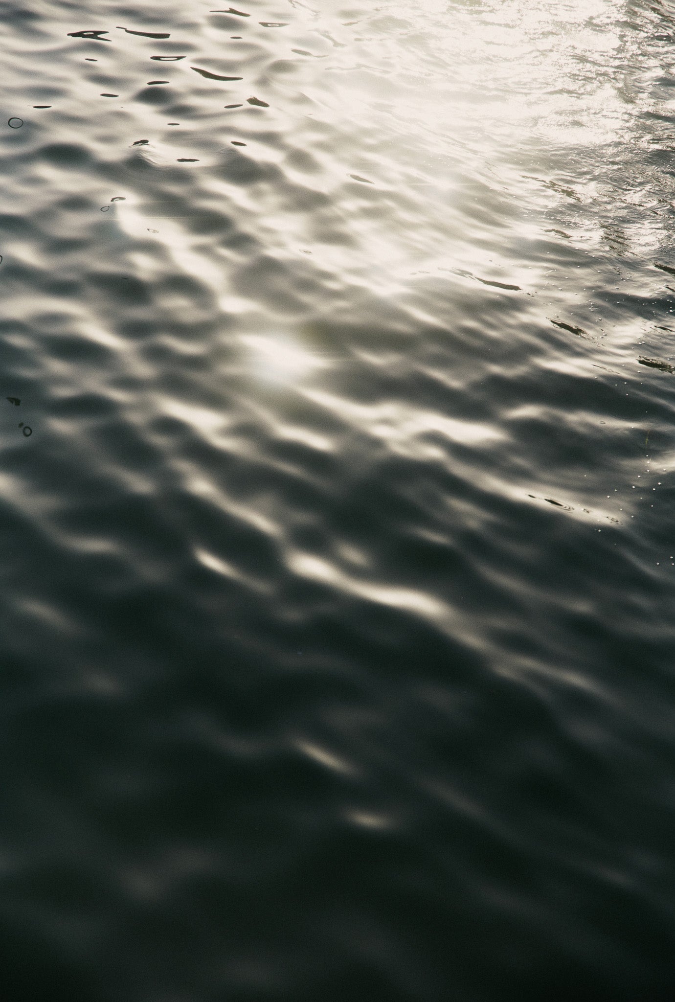 Total Immersion: In Conversation With Bailey Meredith & Freya Berwick