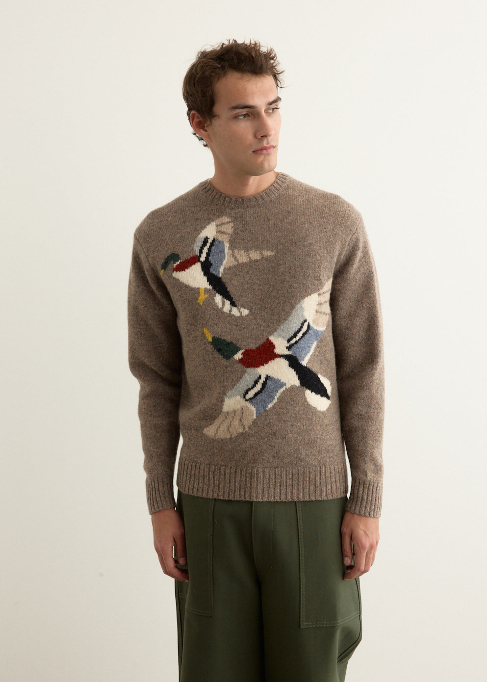 Crew Intarsia Duck Pattern