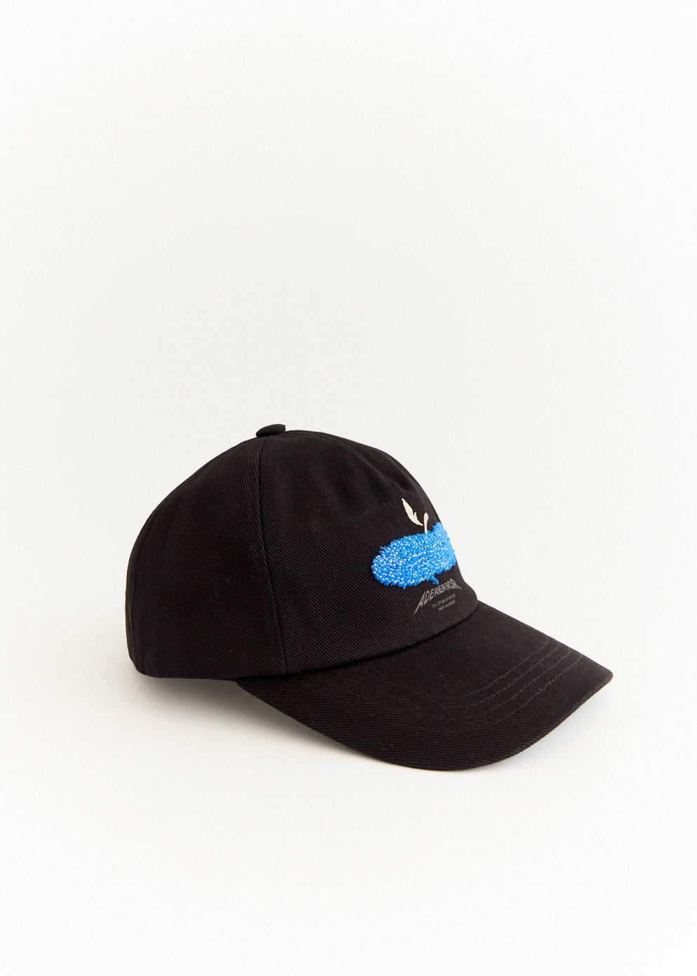 Future Apple Cap