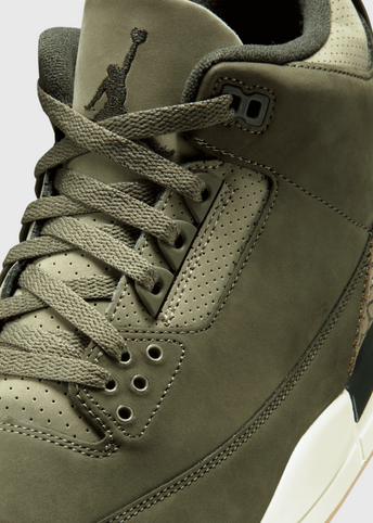 Air Jordan 3 Retro 'Family Affair' Sneakers
