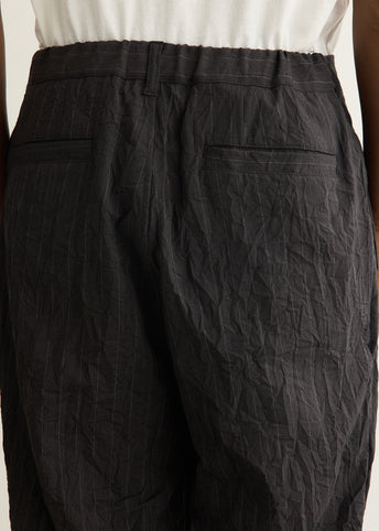 Creasy Pleated Pants