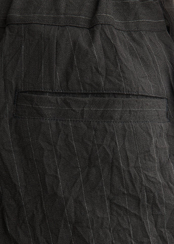 Creasy Pleated Pants