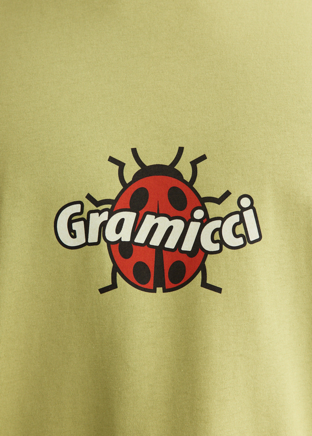 Ladybug T-Shirt