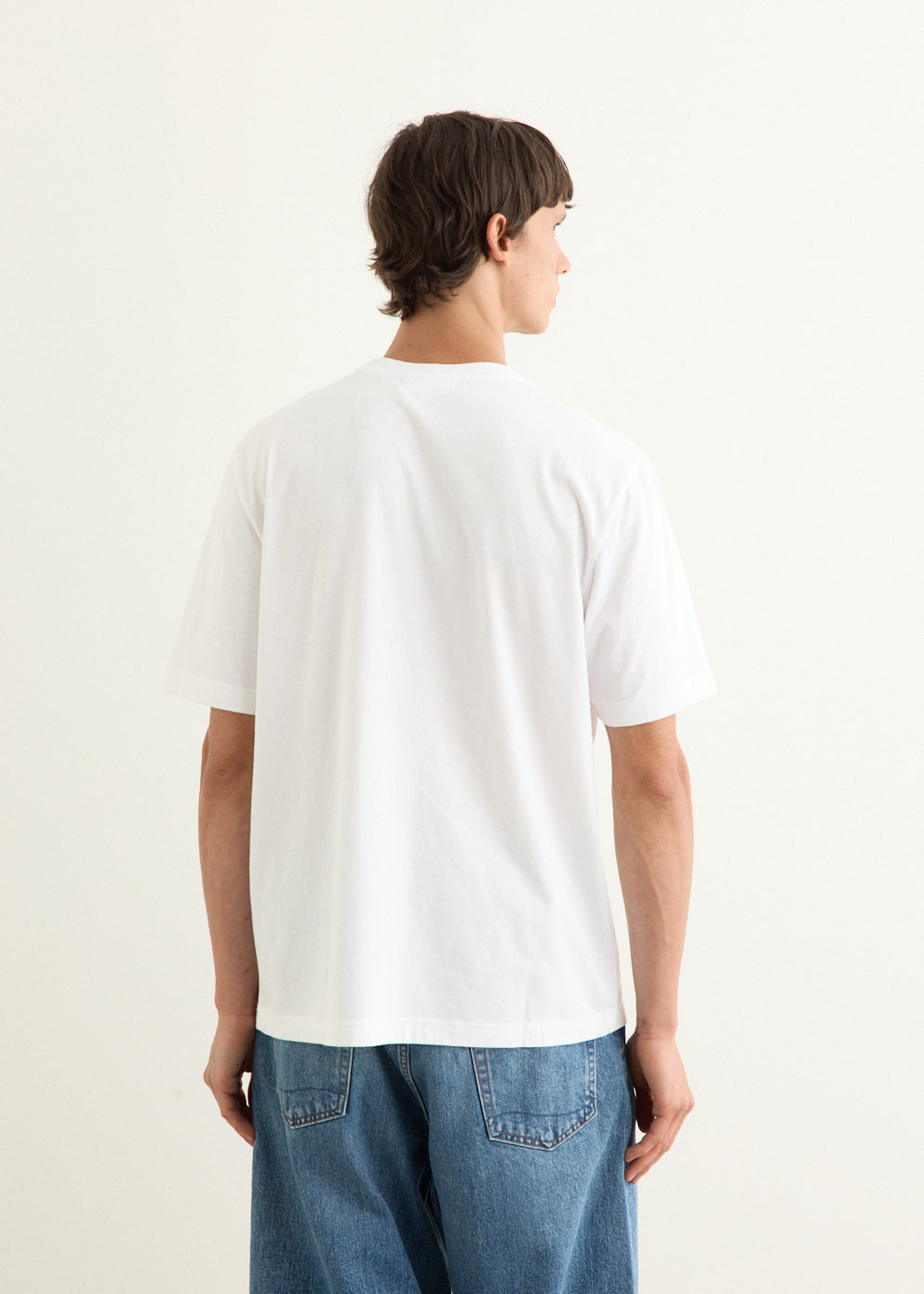 Dreaming Fox Comfort T-Shirt