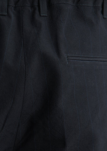 2 Pleats Relax Extreme Density Weather Cloth Pants