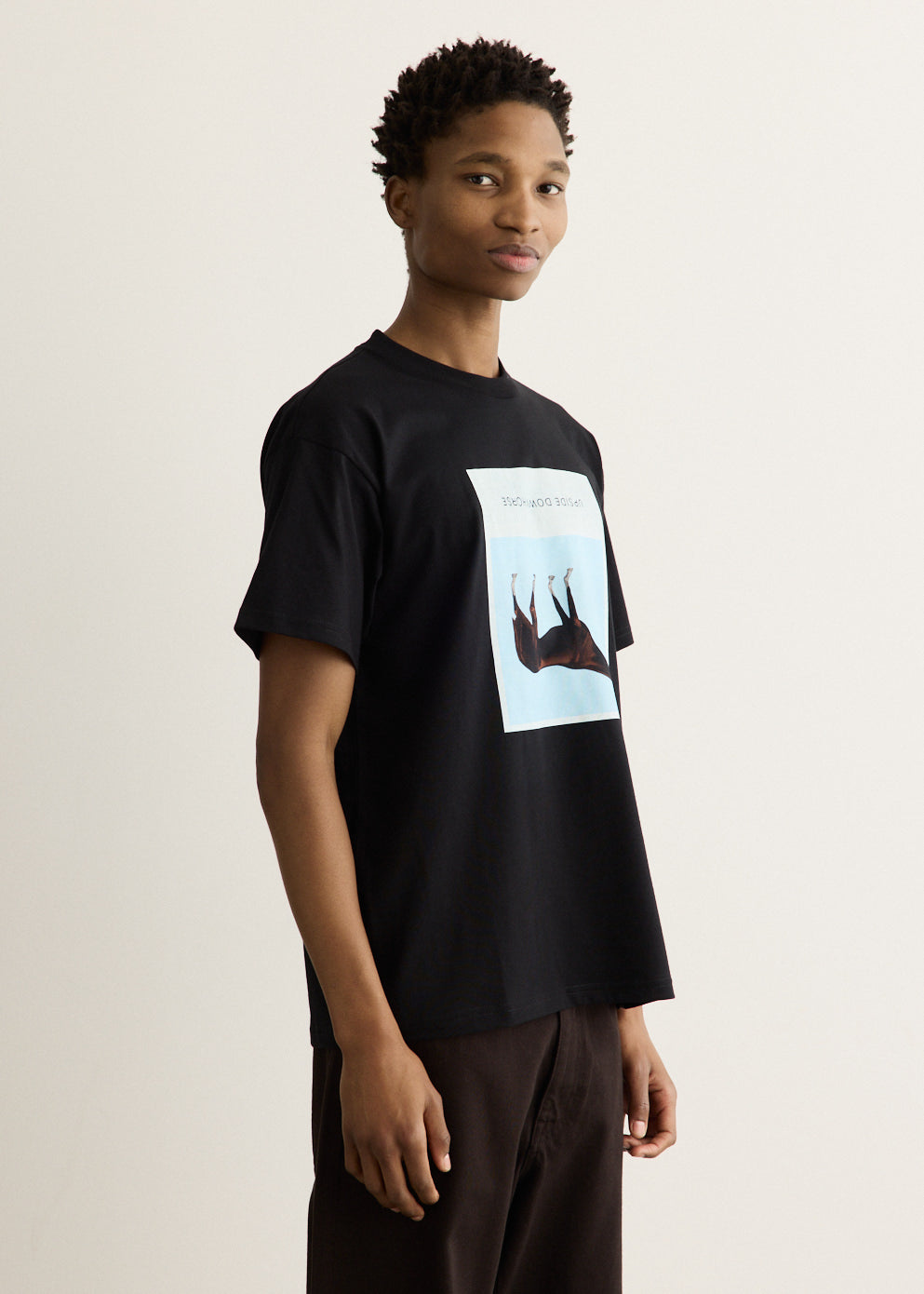 Sean Hamilton 02 T-Shirt