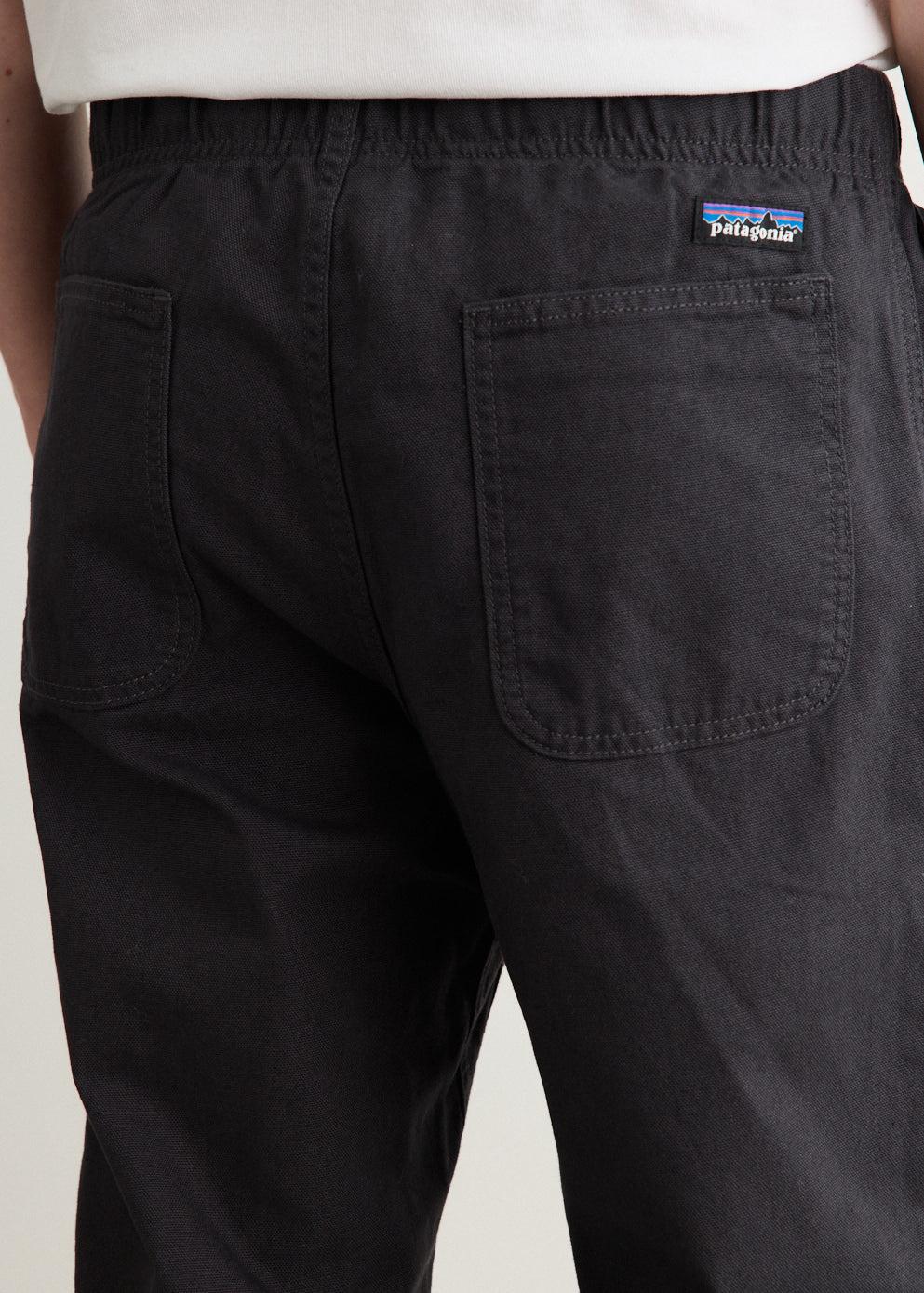Point Reyes Canvas Gi Pants