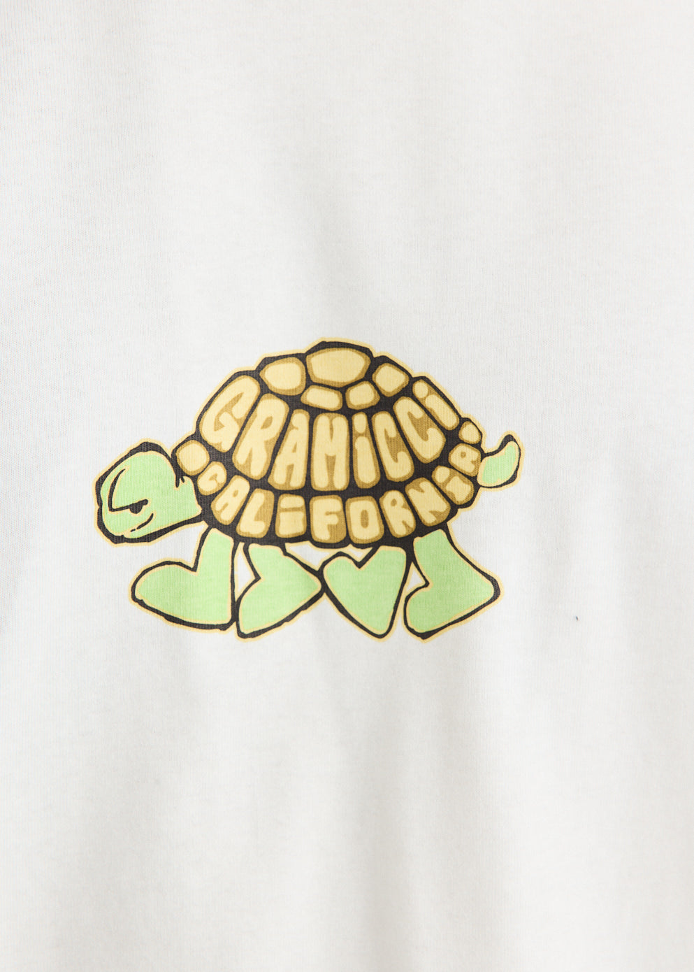 Turtle T-Shirt