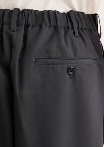 Scale Off Wool Wide Slacks