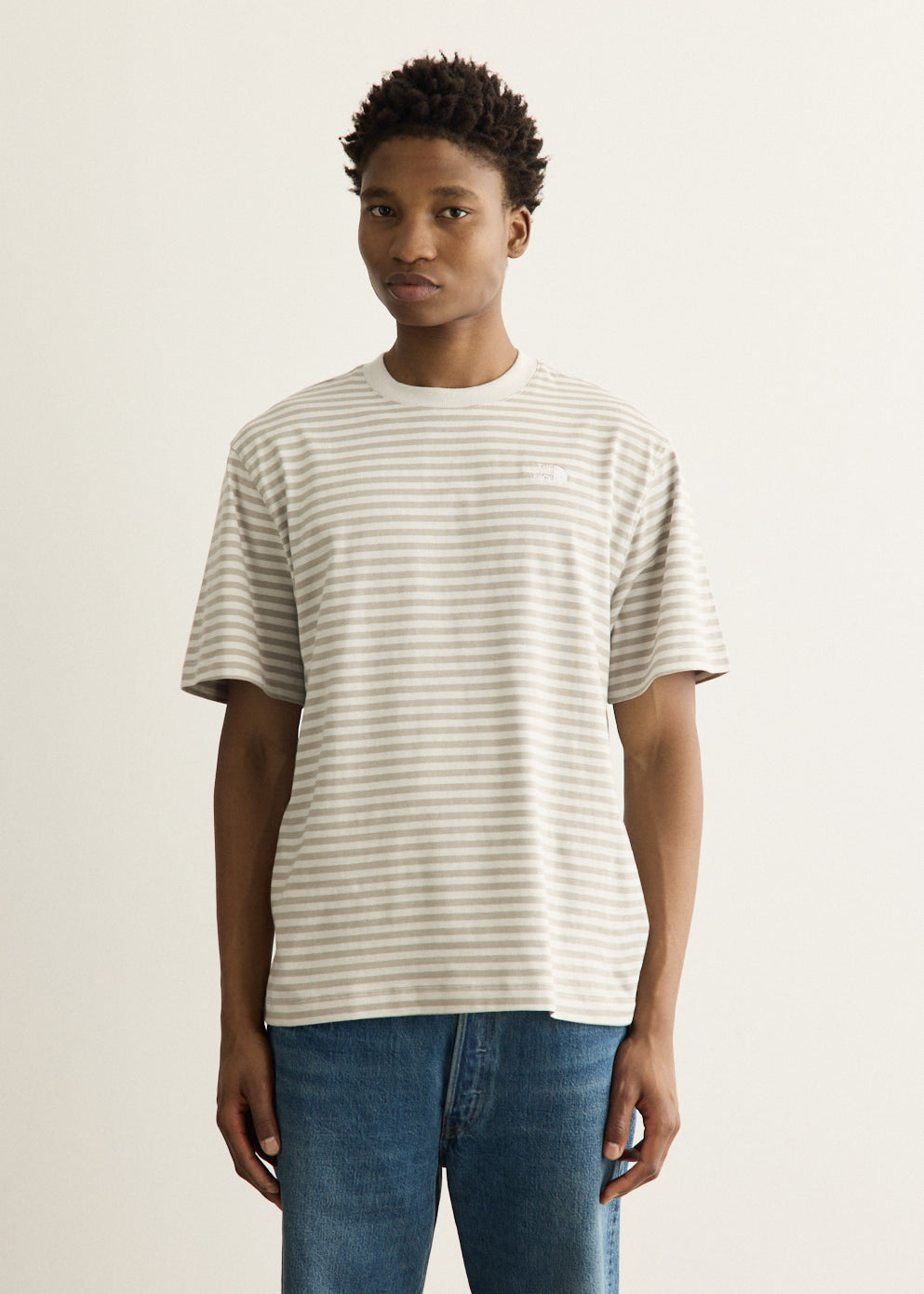 Vista Stripe Short Sleeve T-Shirt