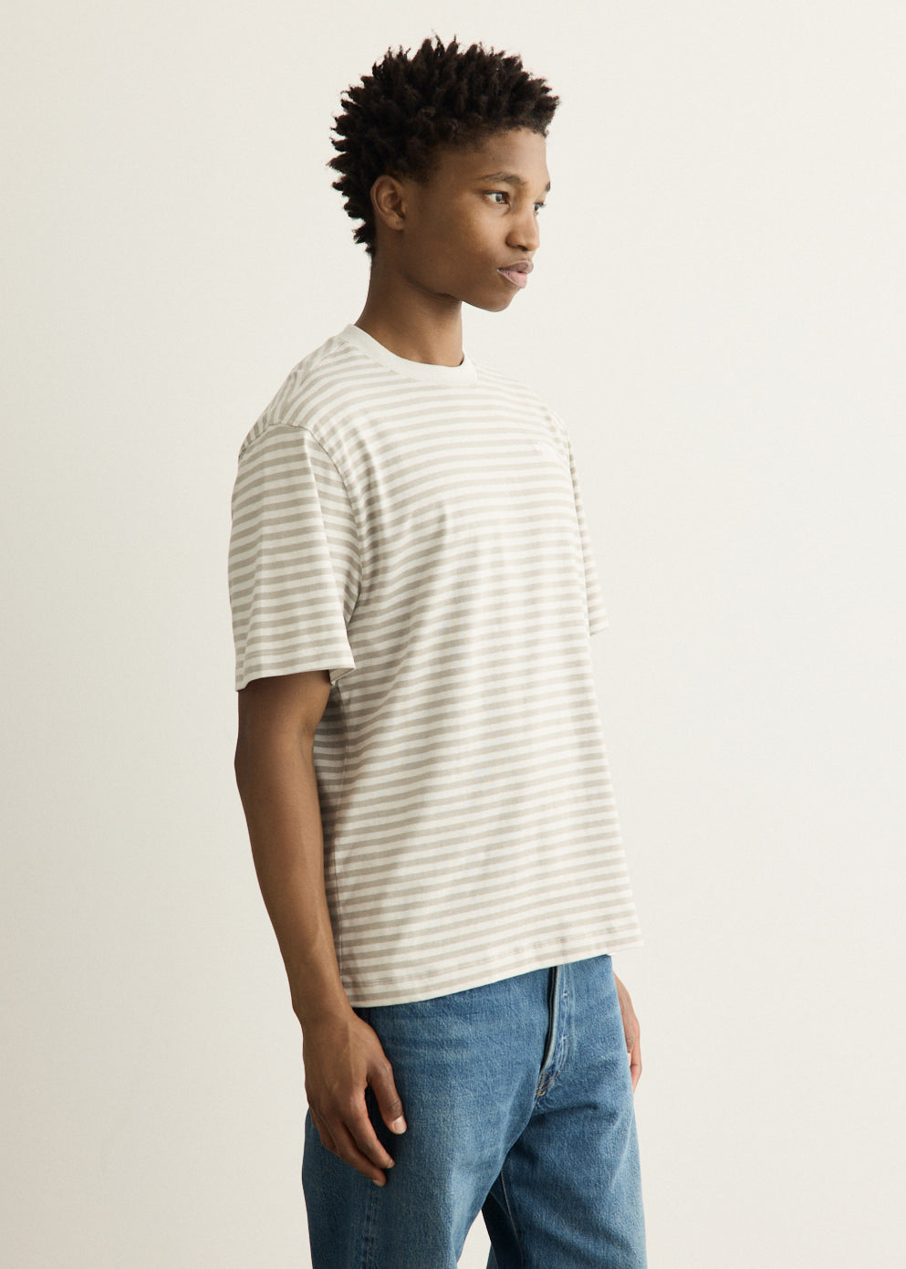 Vista Stripe Short Sleeve T-Shirt