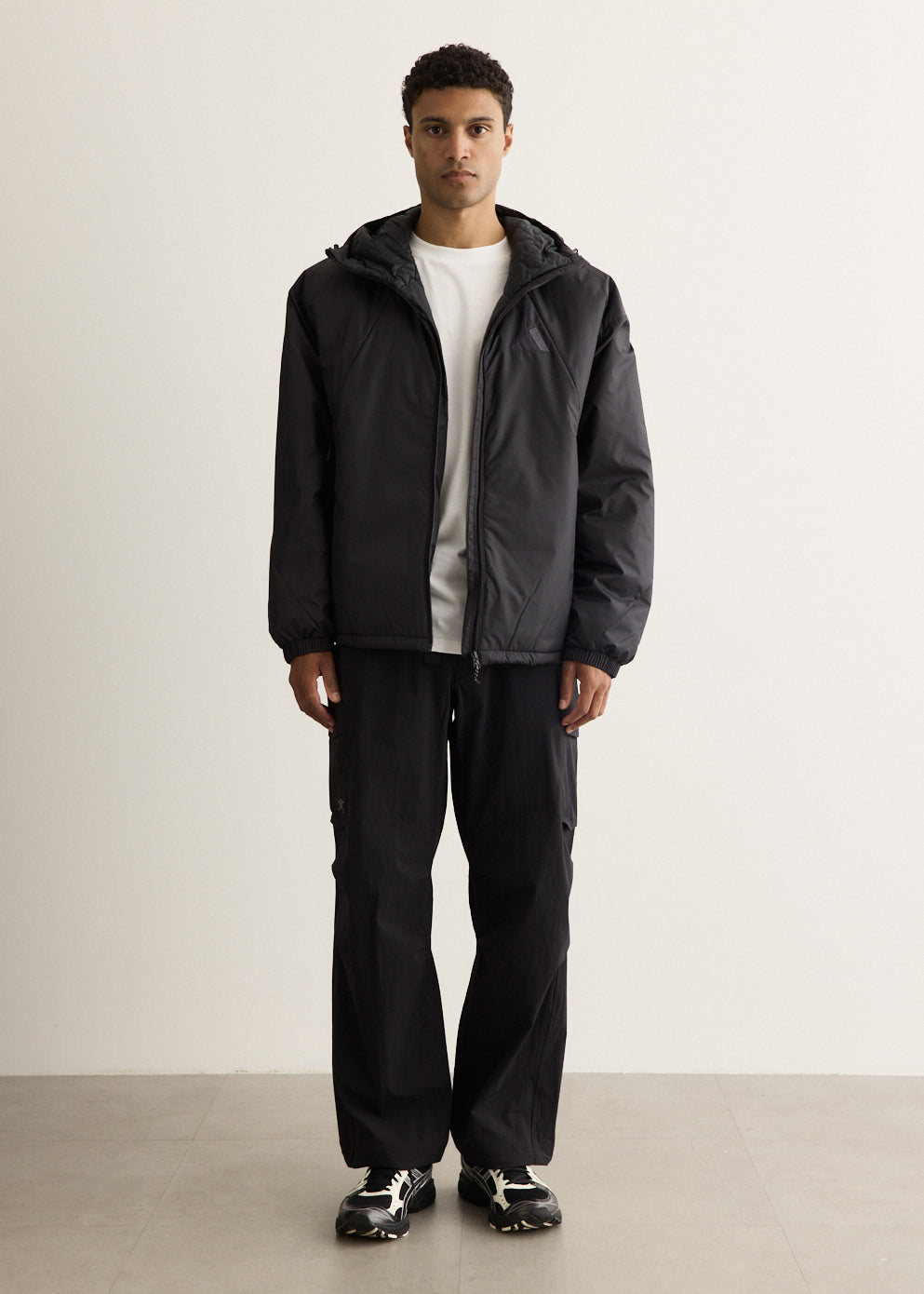 Terrex Multi PrimaLoft Insulated Hooded Jacket
