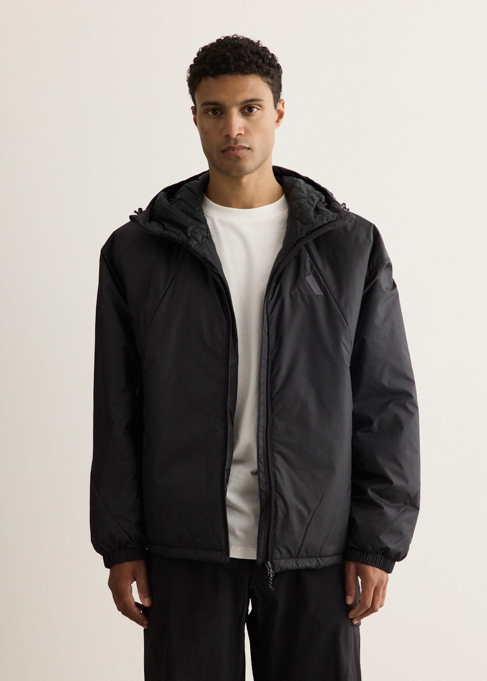 Terrex Multi PrimaLoft Insulated Hooded Jacket