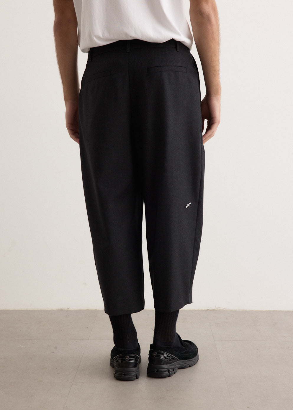 Significant Pleat Pants