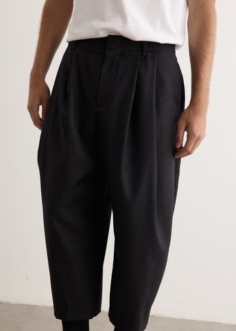 Significant Pleat Pants