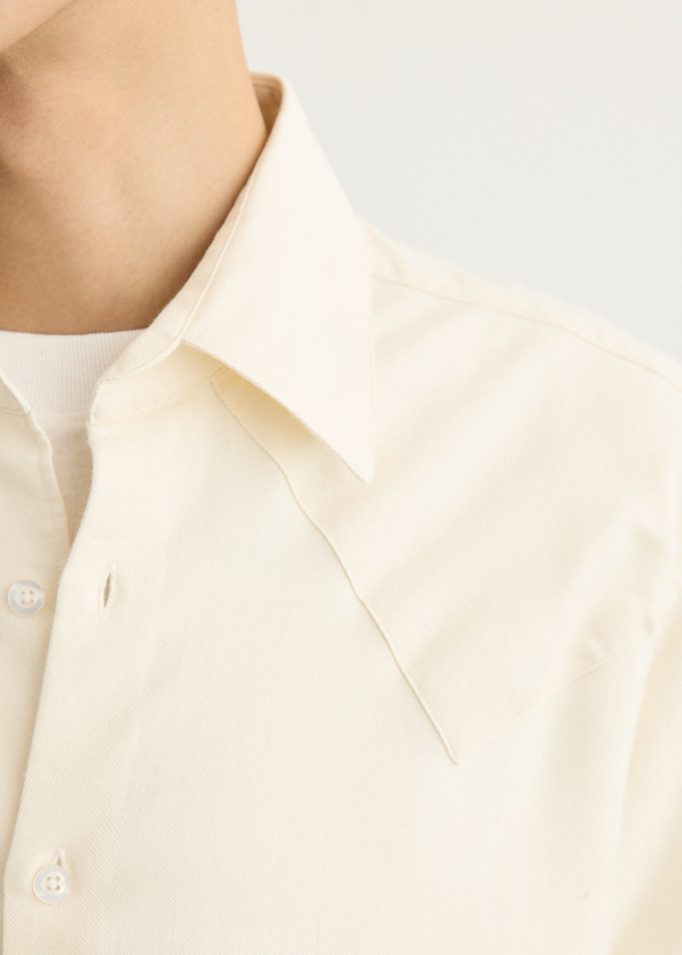 Western Business Shirt