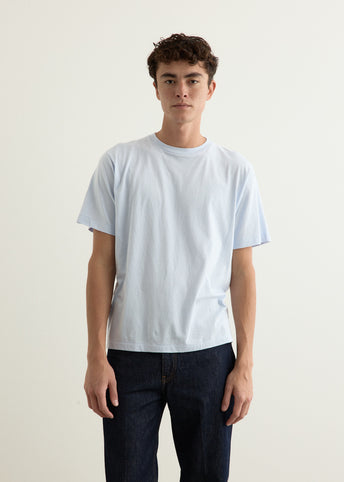 Natural Hydragea Dye T-Shirt