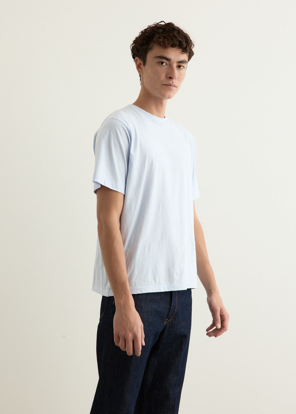 Natural Hydragea Dye T-Shirt