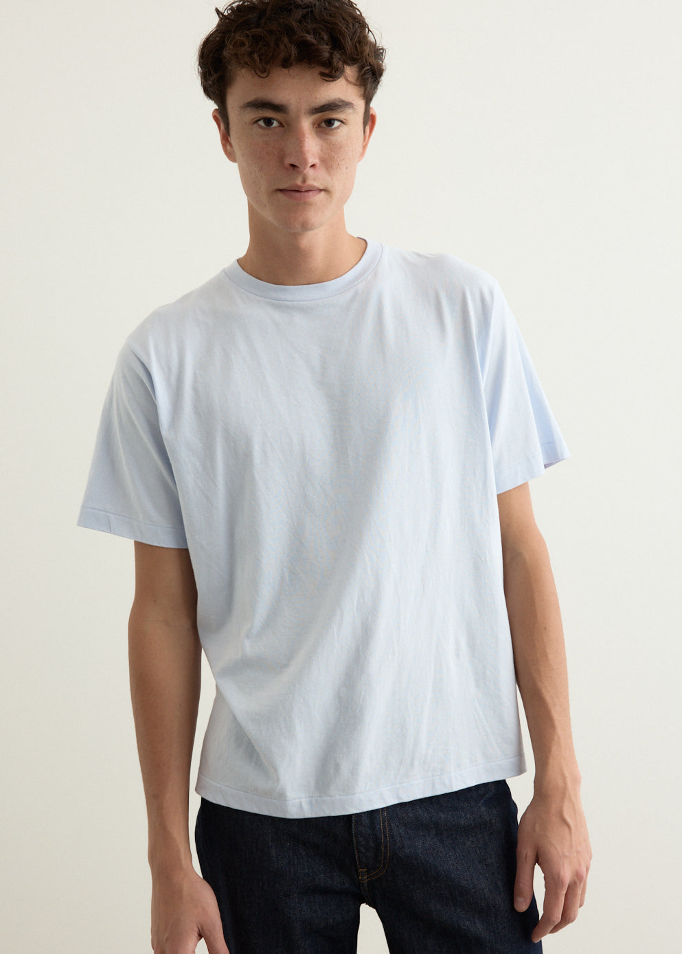 Natural Hydragea Dye T-Shirt