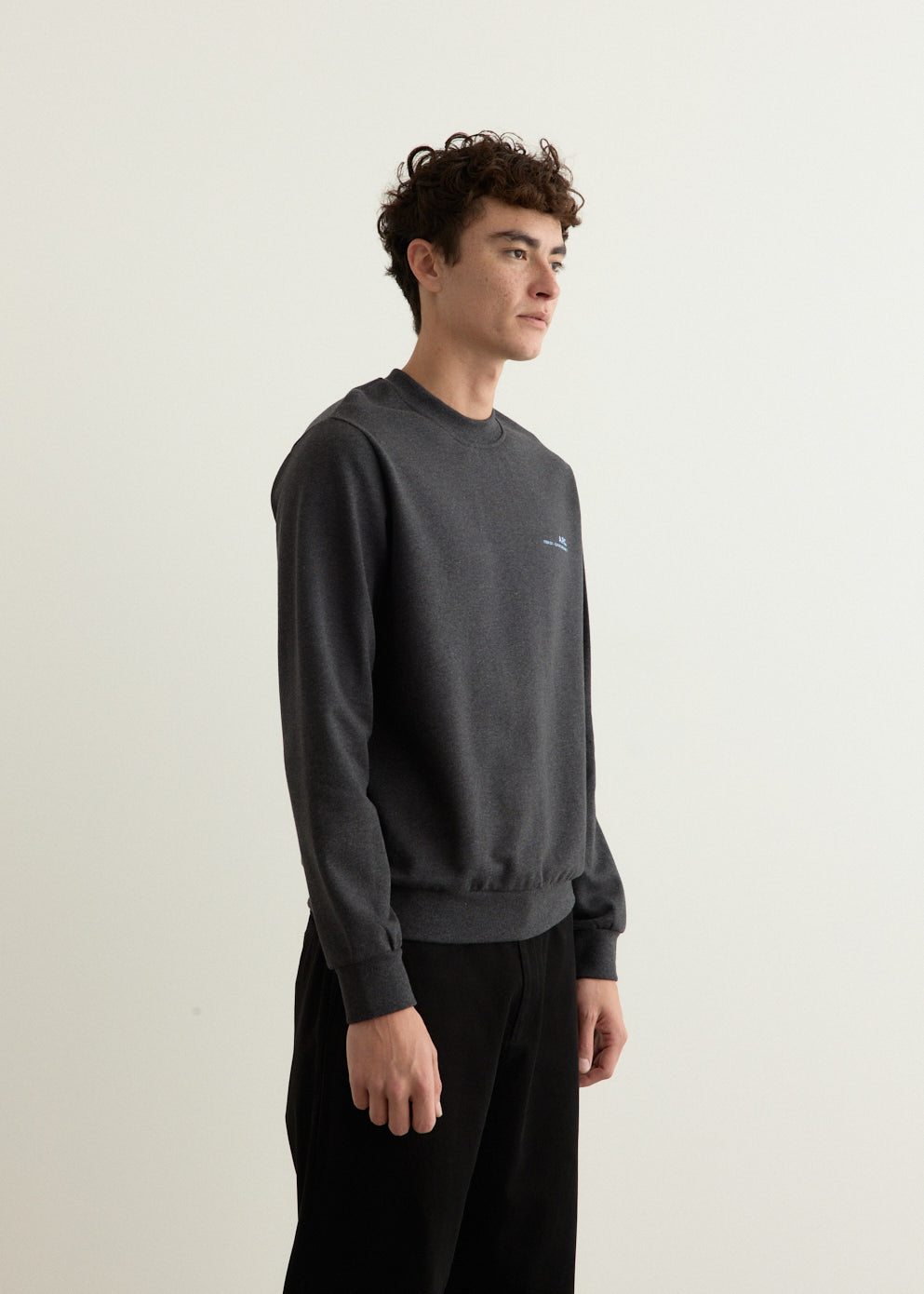 Standard Item Sweatshirt