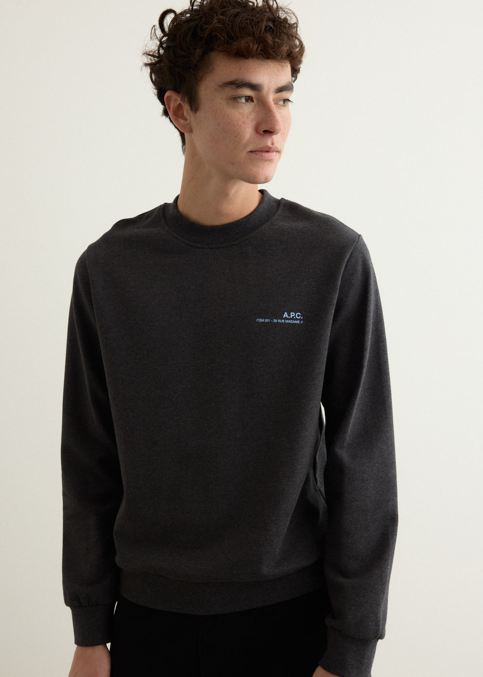 Standard Item Sweatshirt