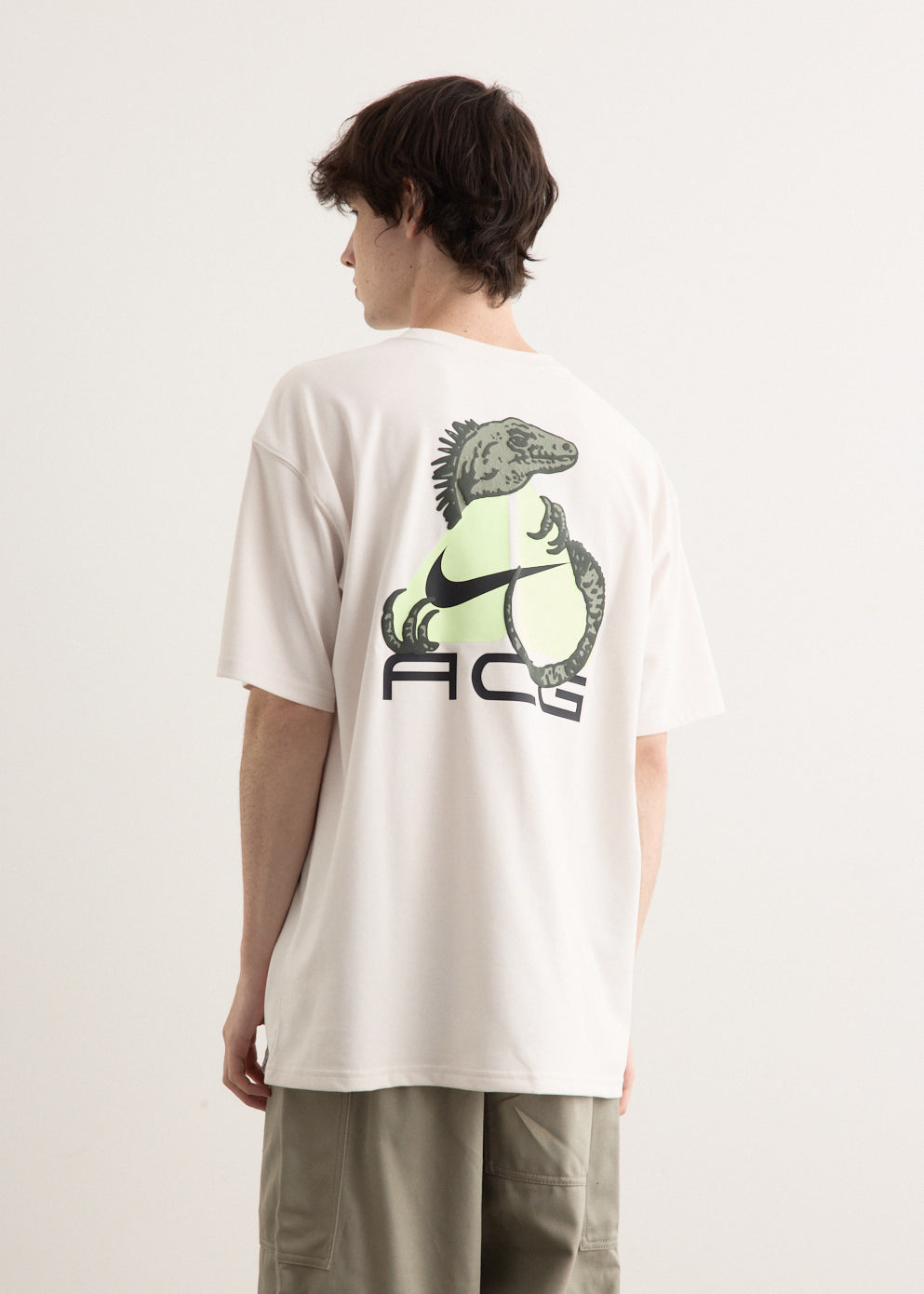 【NIKE acg】　ナイキ　イグアナ Dri-FIT Tシャツ　2XL Nike ACG Dri-FIT Iguana T-Shirt