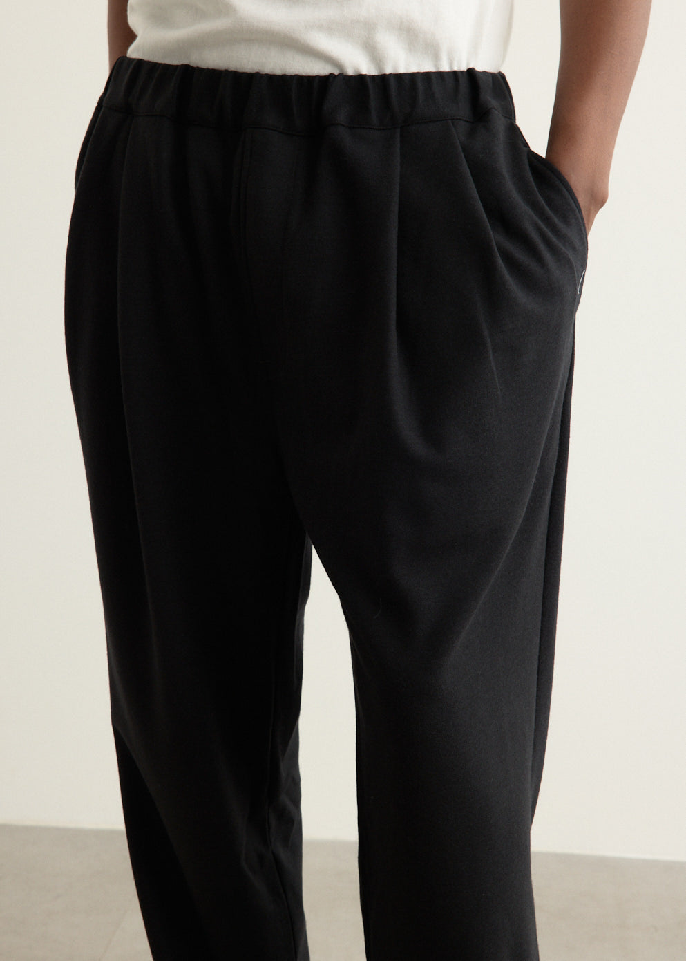 Wool Jersey Two Tuck Pants