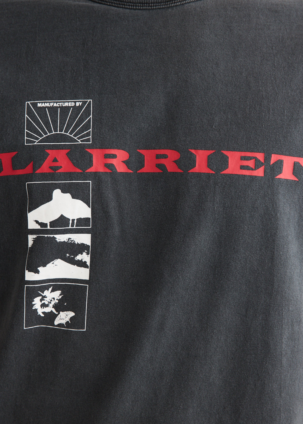 Wings T-Shirt