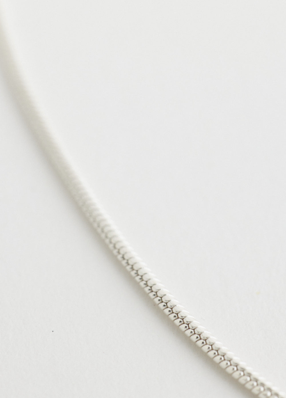 Snake Chain Necklace