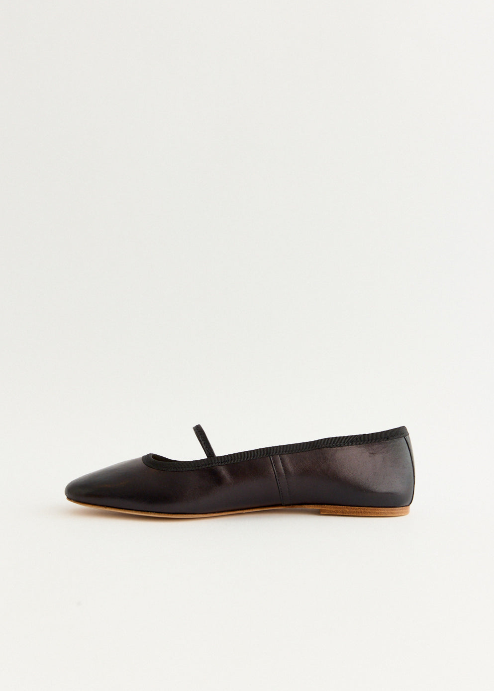 Swan Ballet Flats