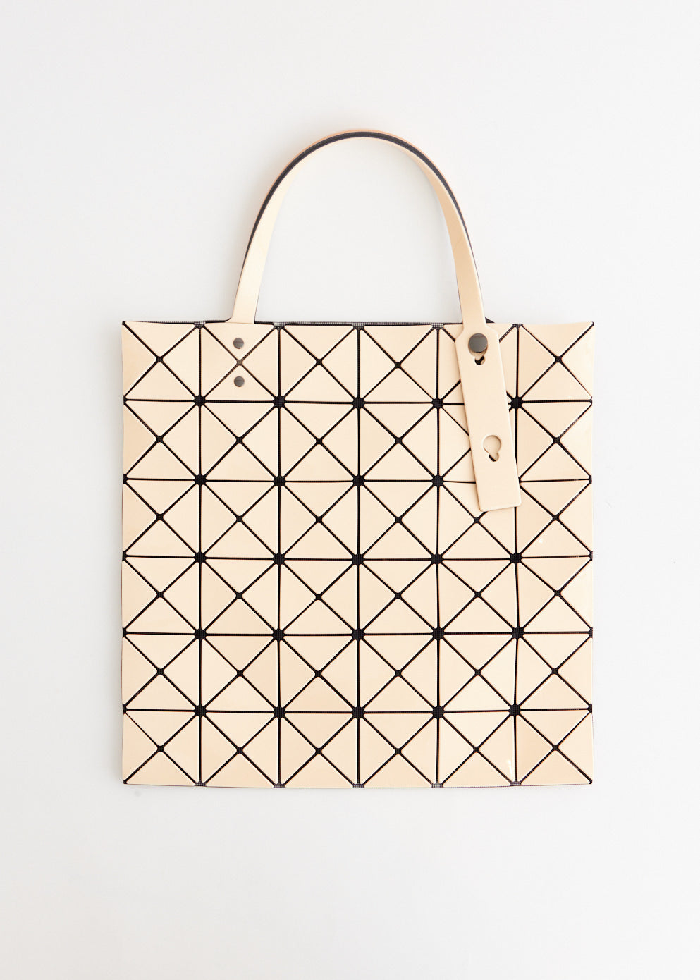Lucent Two Tone Tote