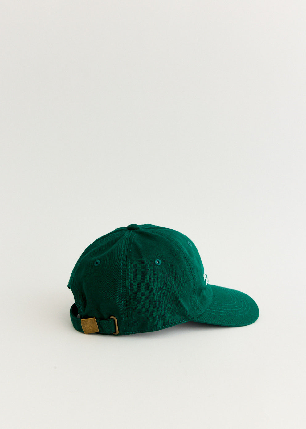 Natural Studies Dad Hat