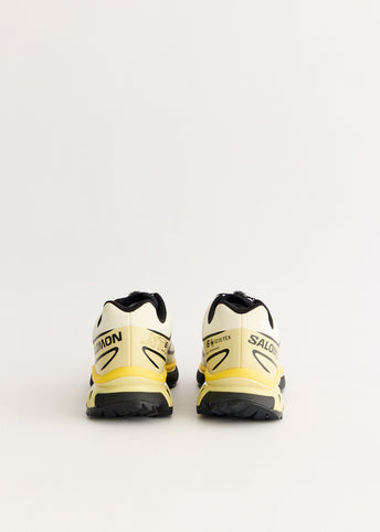 XT-6 GORE-TEX