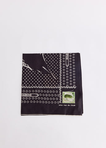 Fastcolor Selvedge Bandanna (Mirrored Fuji PROFILE RAINBOWY)