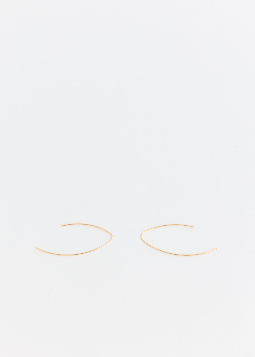 Hook Gold Plated Earrings