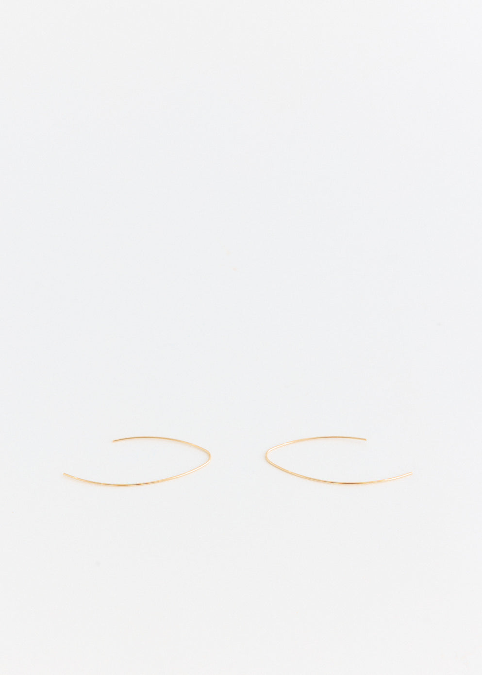 Hook Gold Plated Earrings