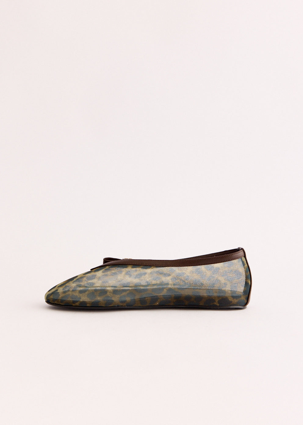 Jenny Ballerinas