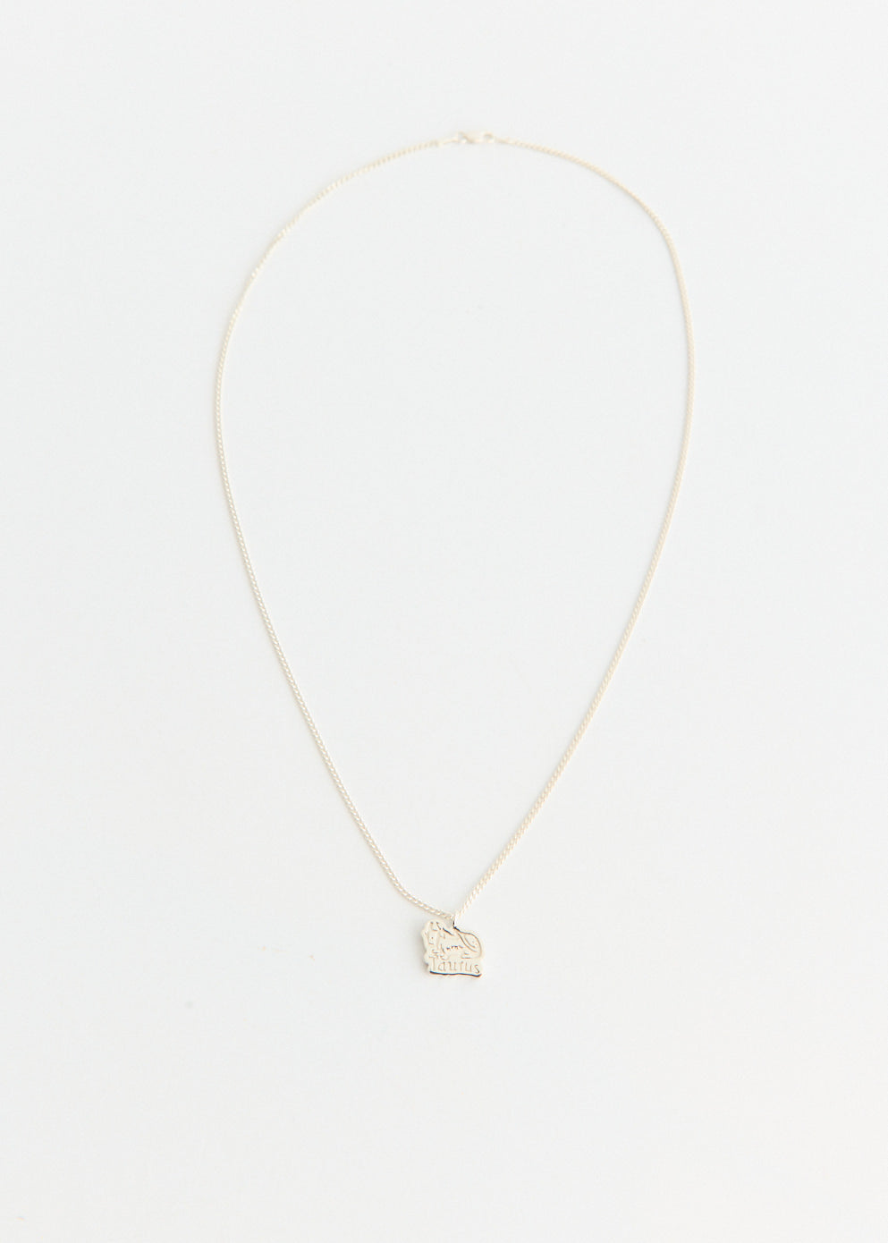 Taurus Pendant