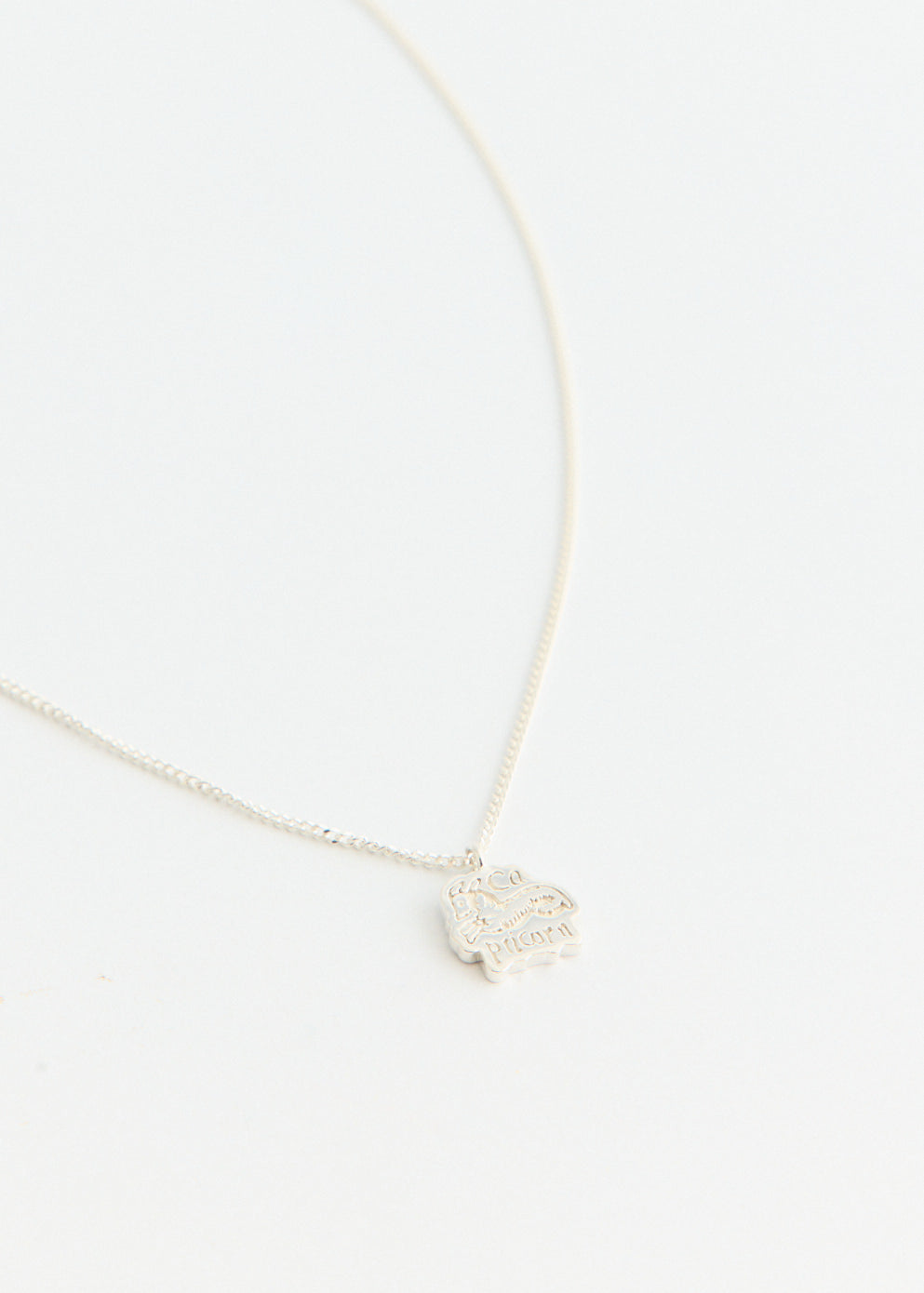 Capricorn Pendant