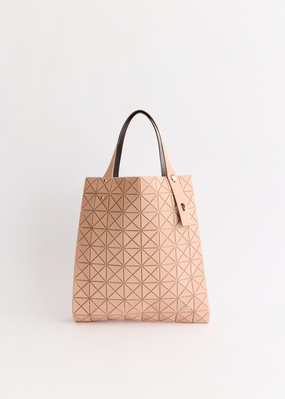 Prism Plus Tote Bag