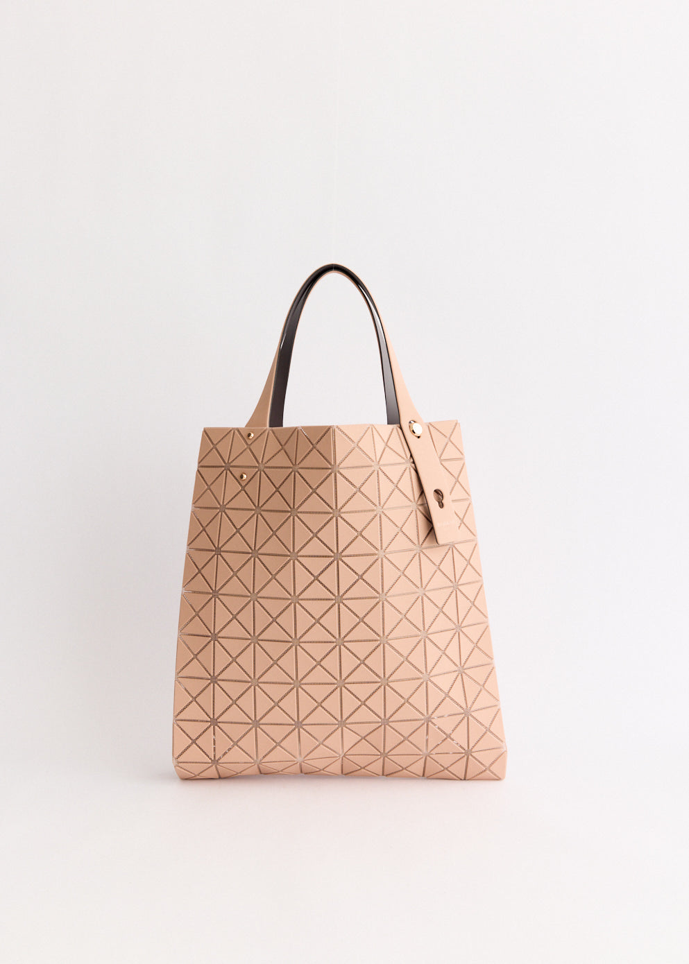 Prism Plus Tote Bag