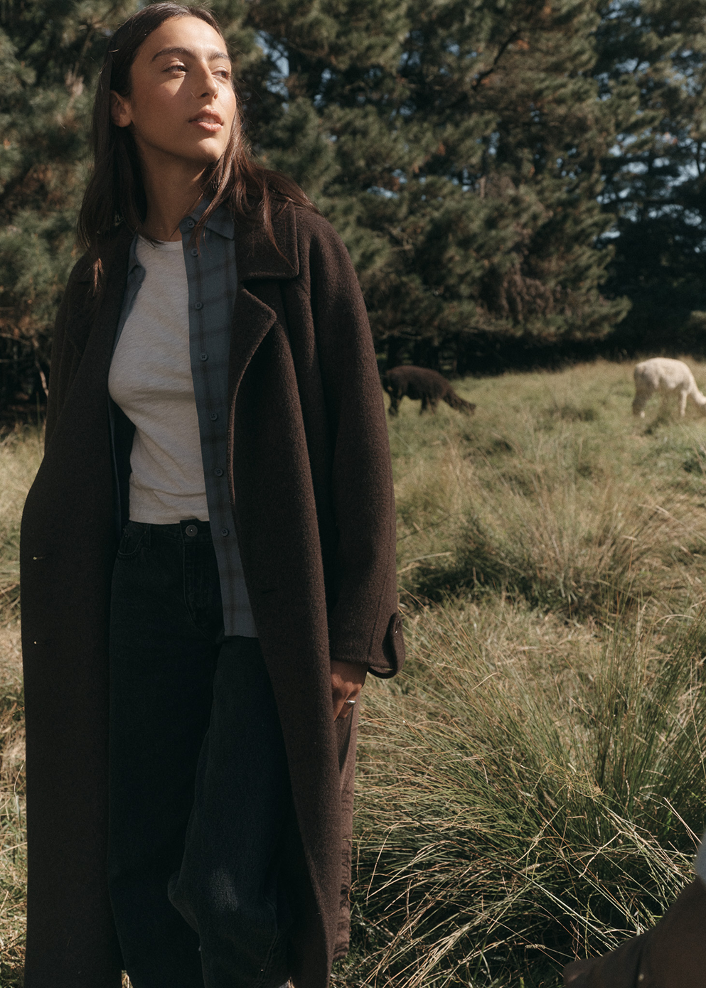 Dawn Wool Trench Coat