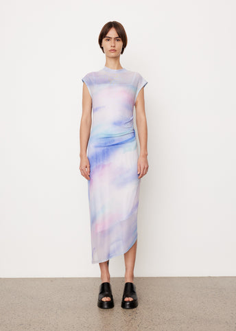 Serena Print Mesh Dress