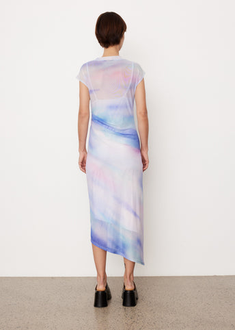 Serena Print Mesh Dress