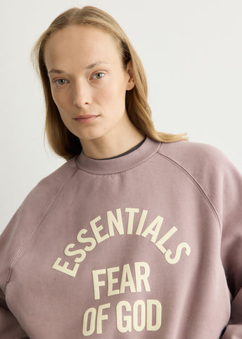 Campus 90's Cropped Raglan Crewneck